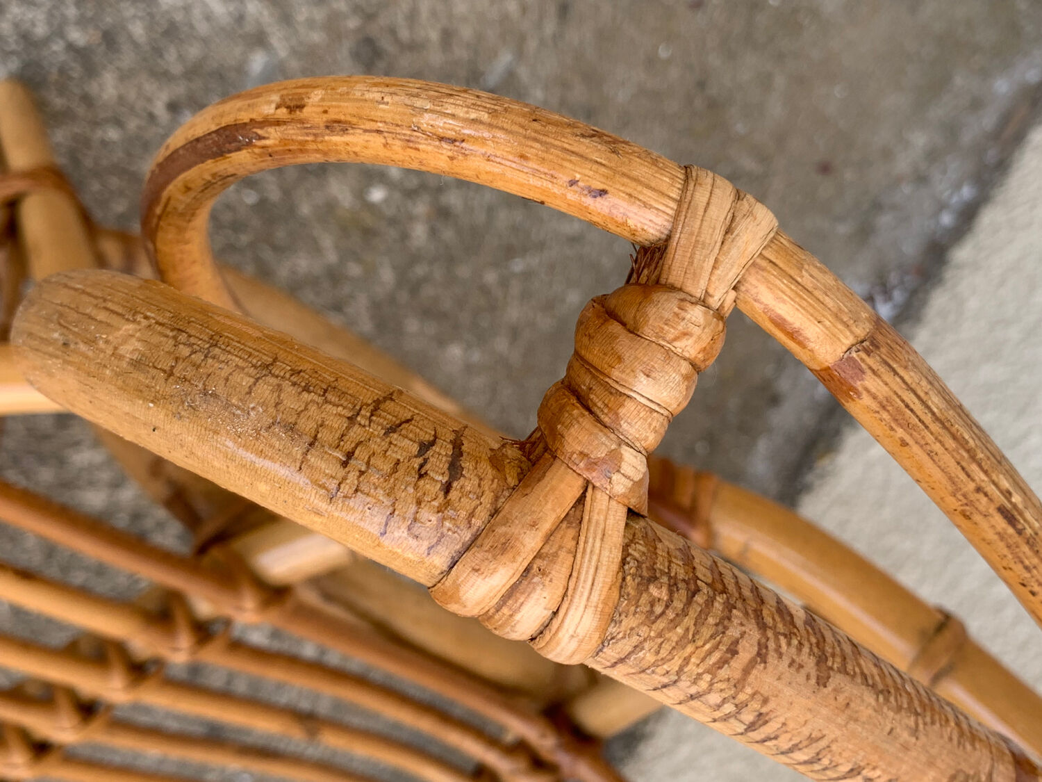 Pair of vintage shell armchairs 1950