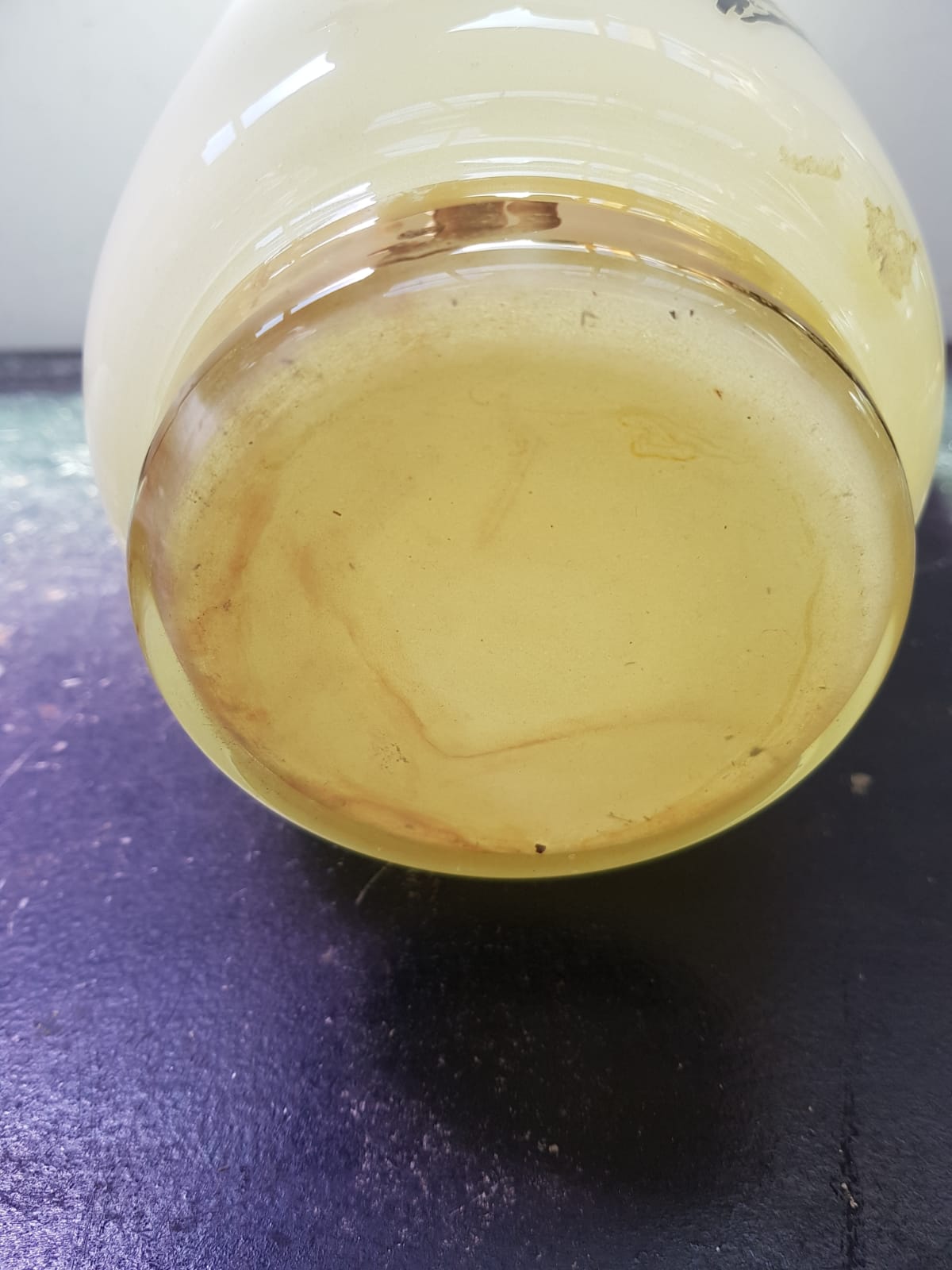 Old creamy white opaline vase with birds decor & vintage gilding