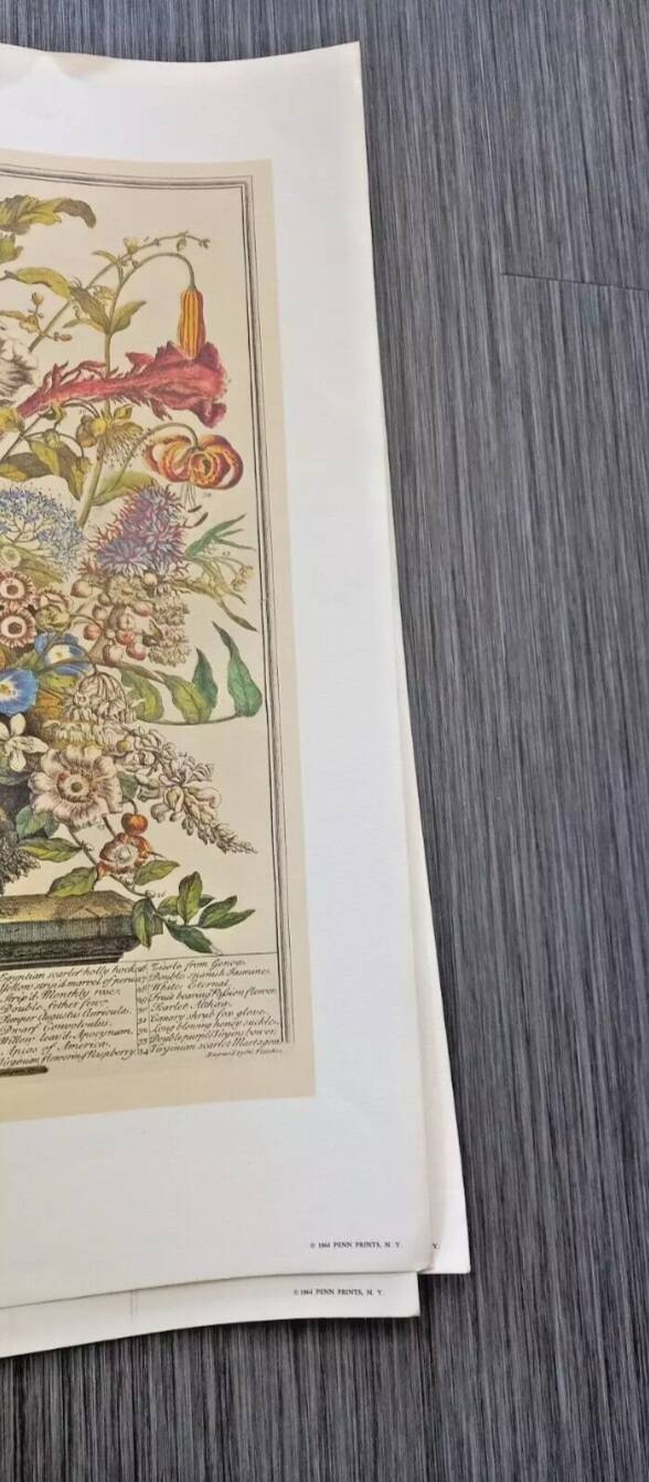 Lot of 19th century Floral Engravings - Vintage Art Print Flowers - 12 months - Robert Furber