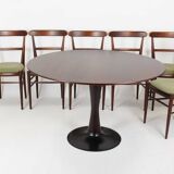Restored Mid-Century Modern Dining Set, Czechoslovakia, 1960s, Set of 7