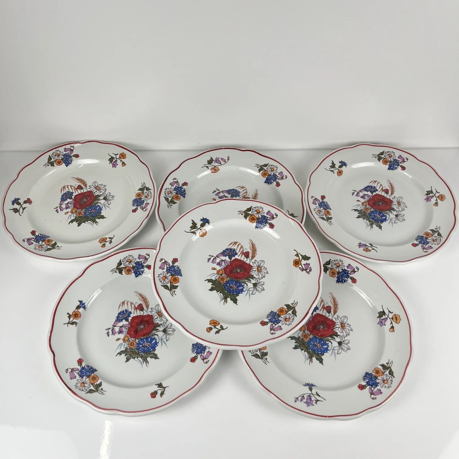 Set of 6 flat plates "Agreste", Sarreguemines, late 20th century, Pyroblan