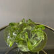 Vide poche vintage en verre de Murano