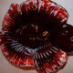 Plat Vallauris rouge marron