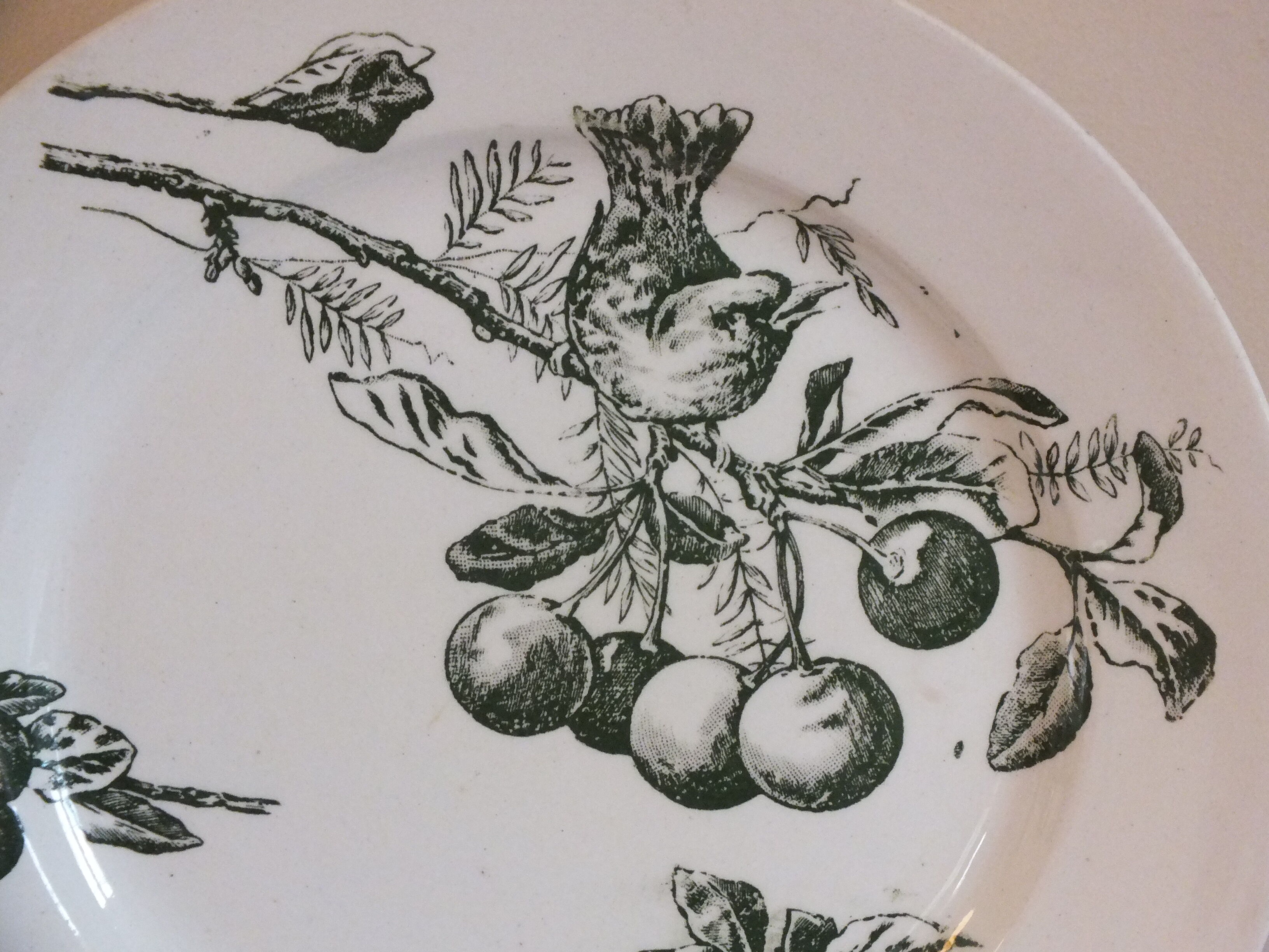 P.Luce Paris 5 Flat plates in Iron Earth bird décor