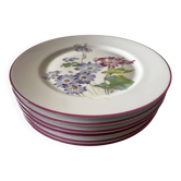 6 assiettes Charles Field Haviland