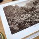 Vecchio Valley, vintage Corsica, photo plate printed in 1935.