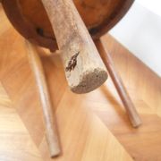 Chaise d’enfant 1900 type bistrot
