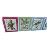 Frames