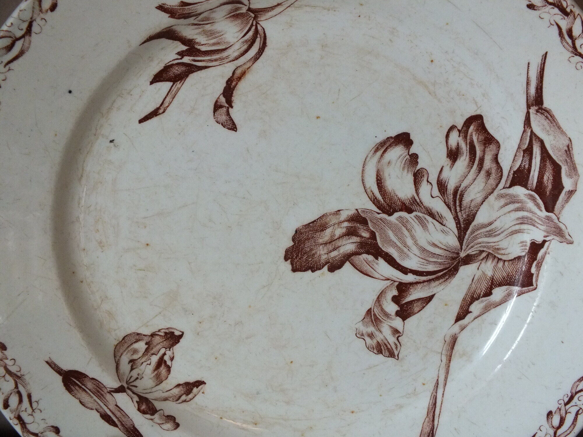 6 Dessert plates in Terre de Fer Lunéville (Tulips?)