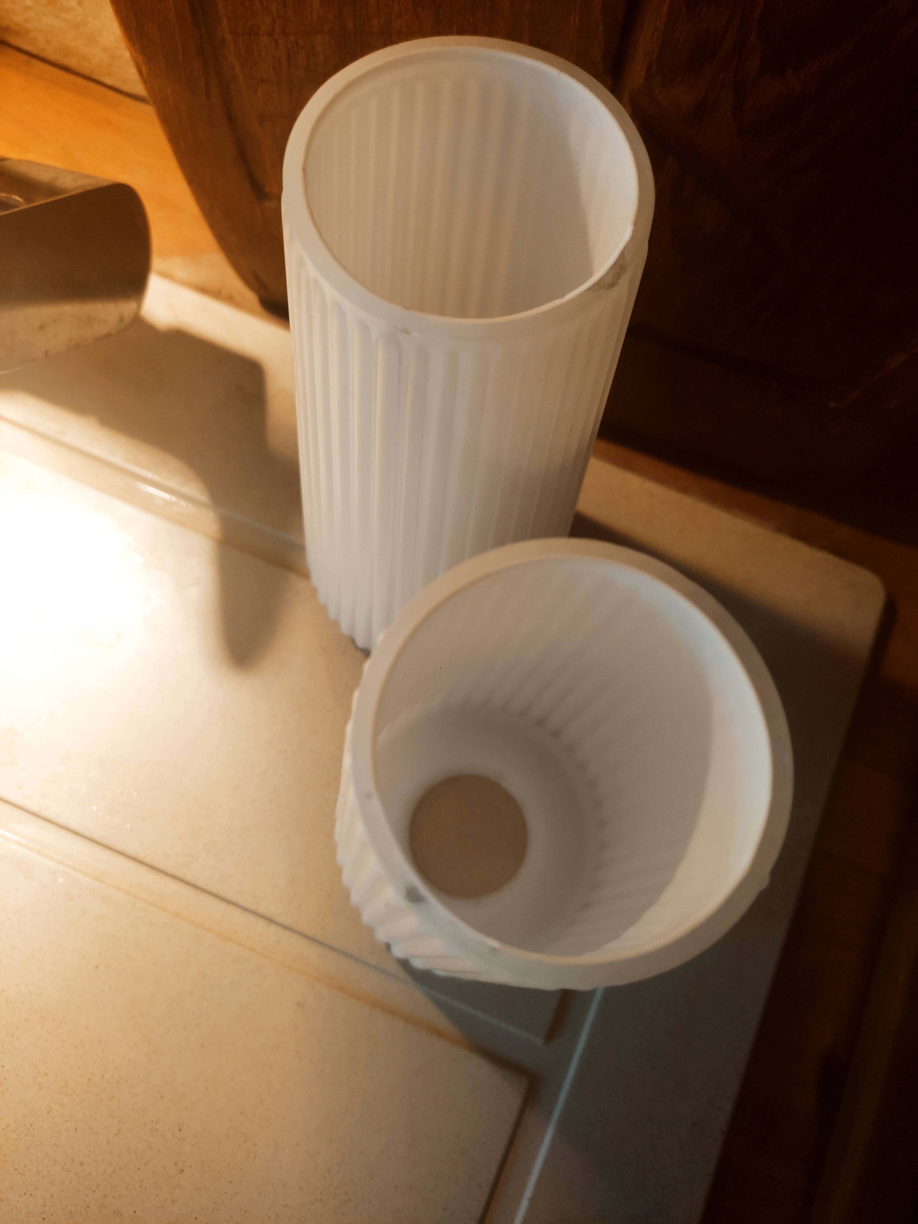 Striated opaline tulips