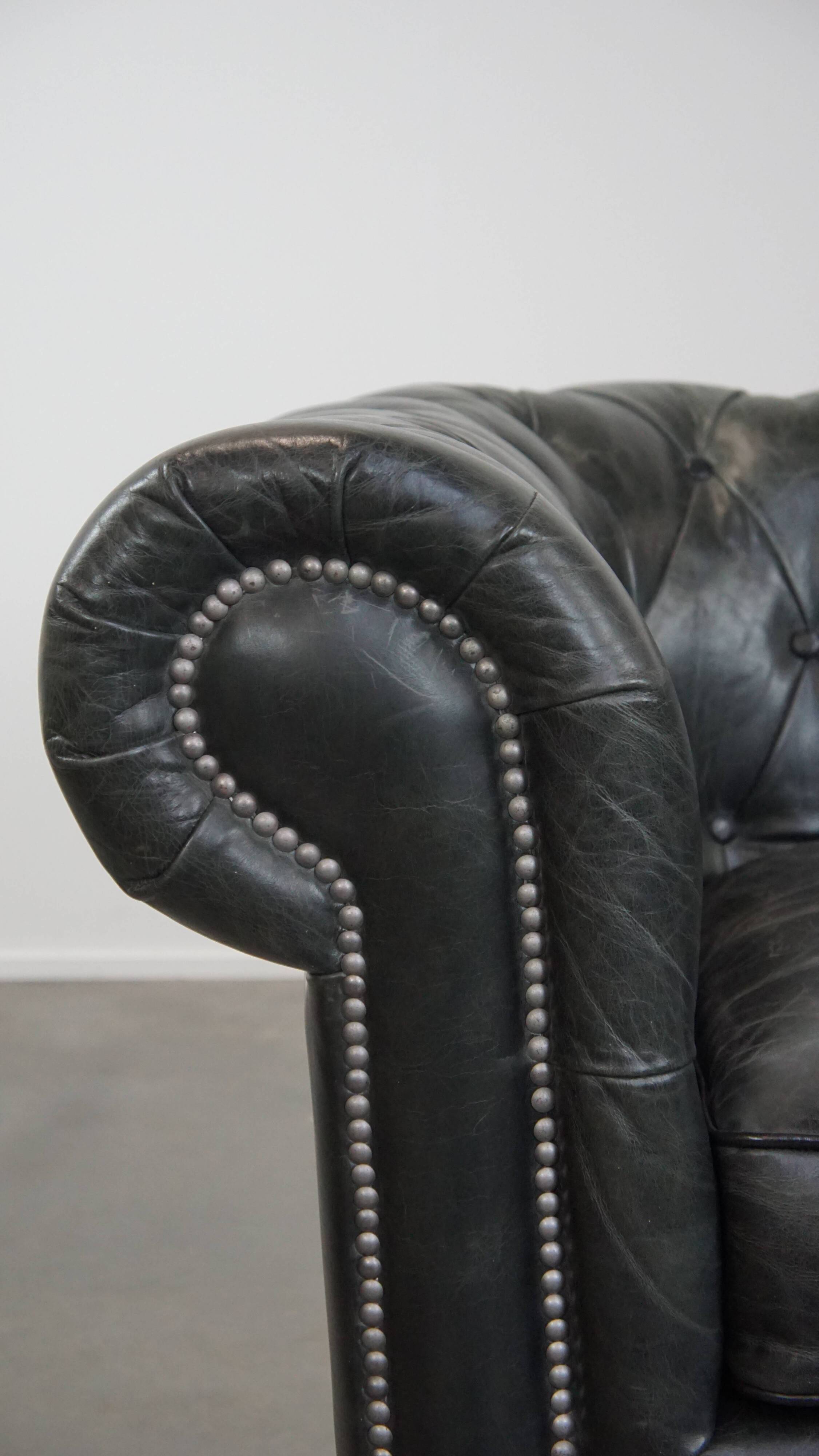 Black Chesterfield armchair made of grained cowhide leather