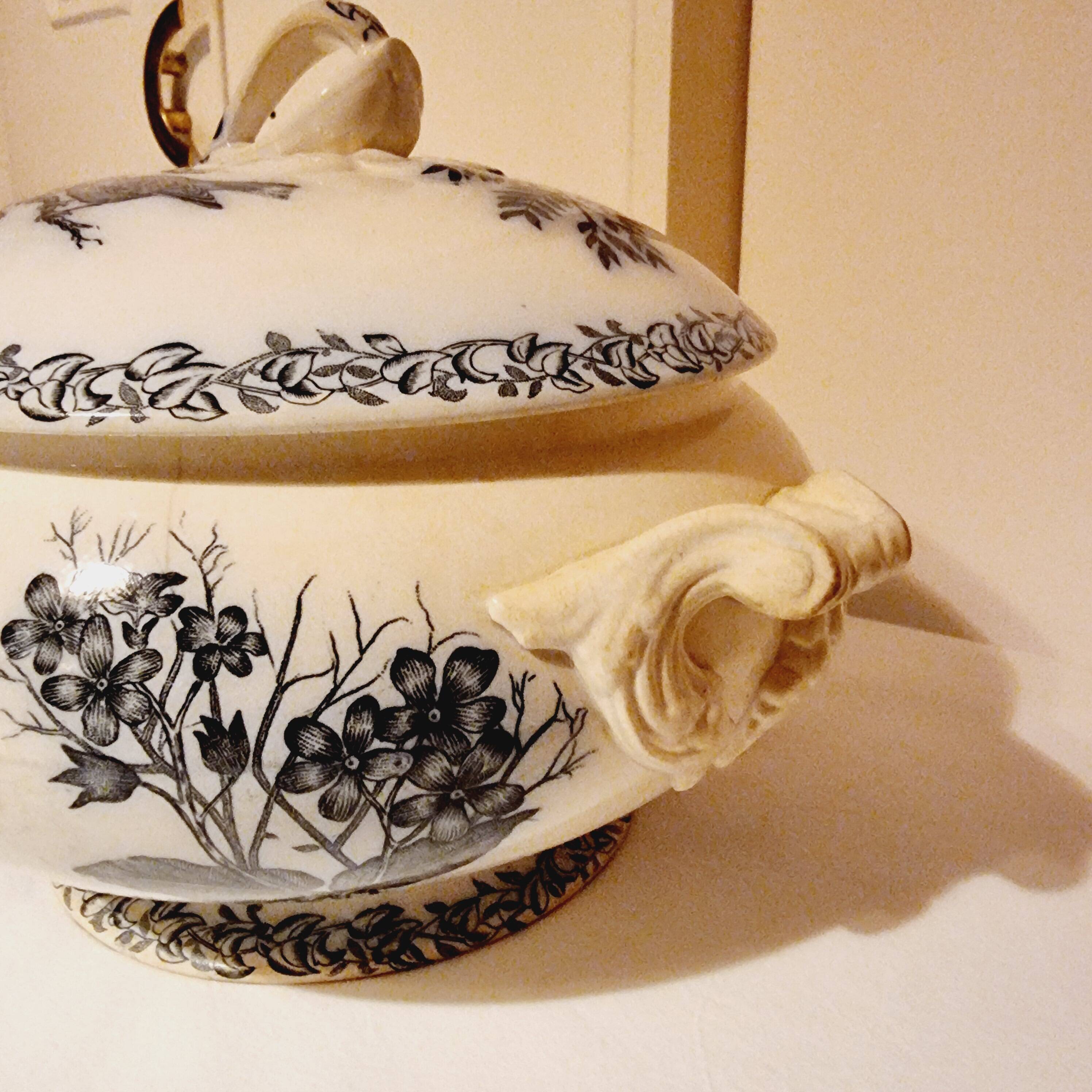 Antique Gien Translucent Porcelain Tureen in Gien Earthenware from 1900