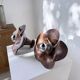 Pair of wooden flower wall lights from the 1970s.