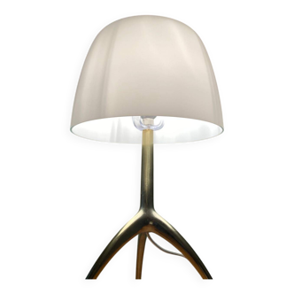 Foscarini lamp