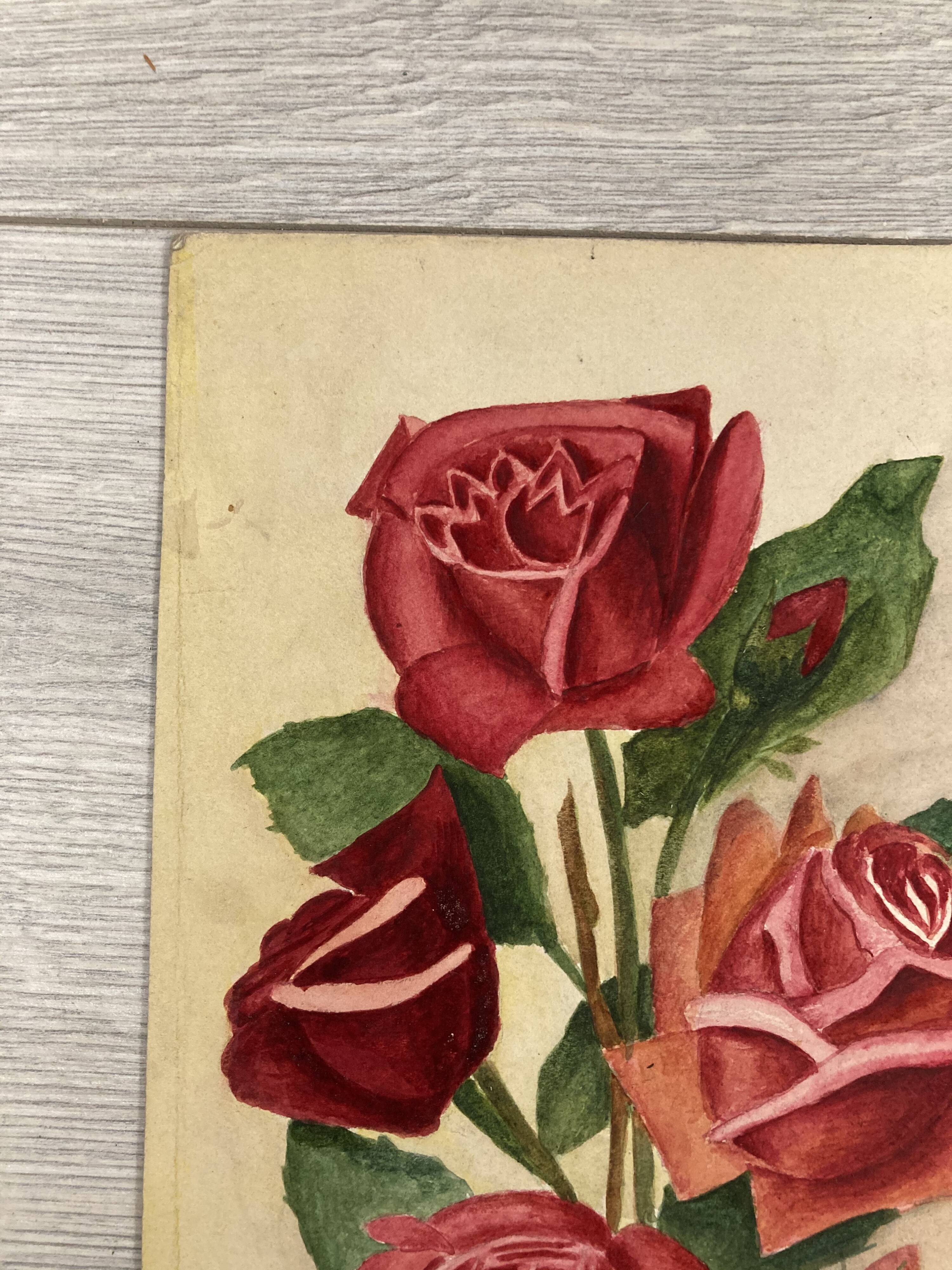 Old rose watercolor