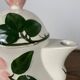 Villeroy & Boch "Wild Rose" teapot / coffee maker, 1970