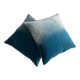 Pair of turquoise velvet cushions