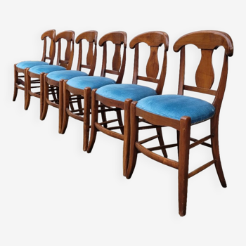 Set of 6 directoire style velvet chairs
