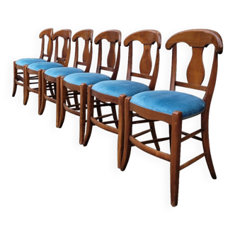 Set of 6 directoire style velvet chairs