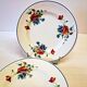 6 flat plates from Salins les Bains, "Poppies" pattern, in very good condition