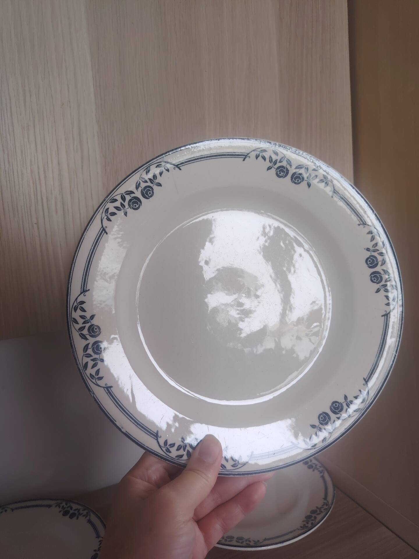 Flat plates ironstone Saussure
