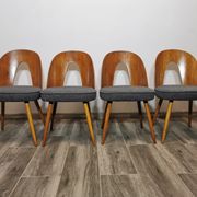 Dining Chairs by Antonin Suman, 1960s, Set of 4