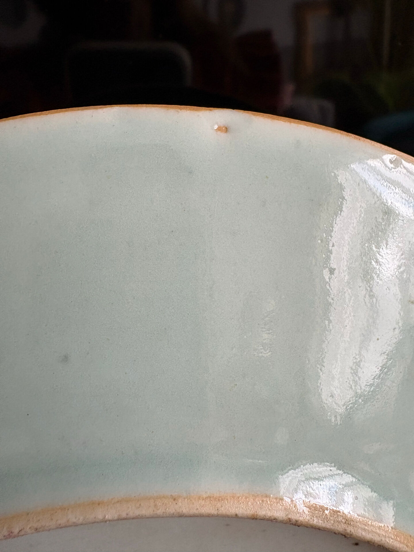 Antique celadon porcelain plate from Canton, China (1820-1850)