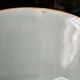 Antique celadon porcelain plate from Canton, China (1820-1850)