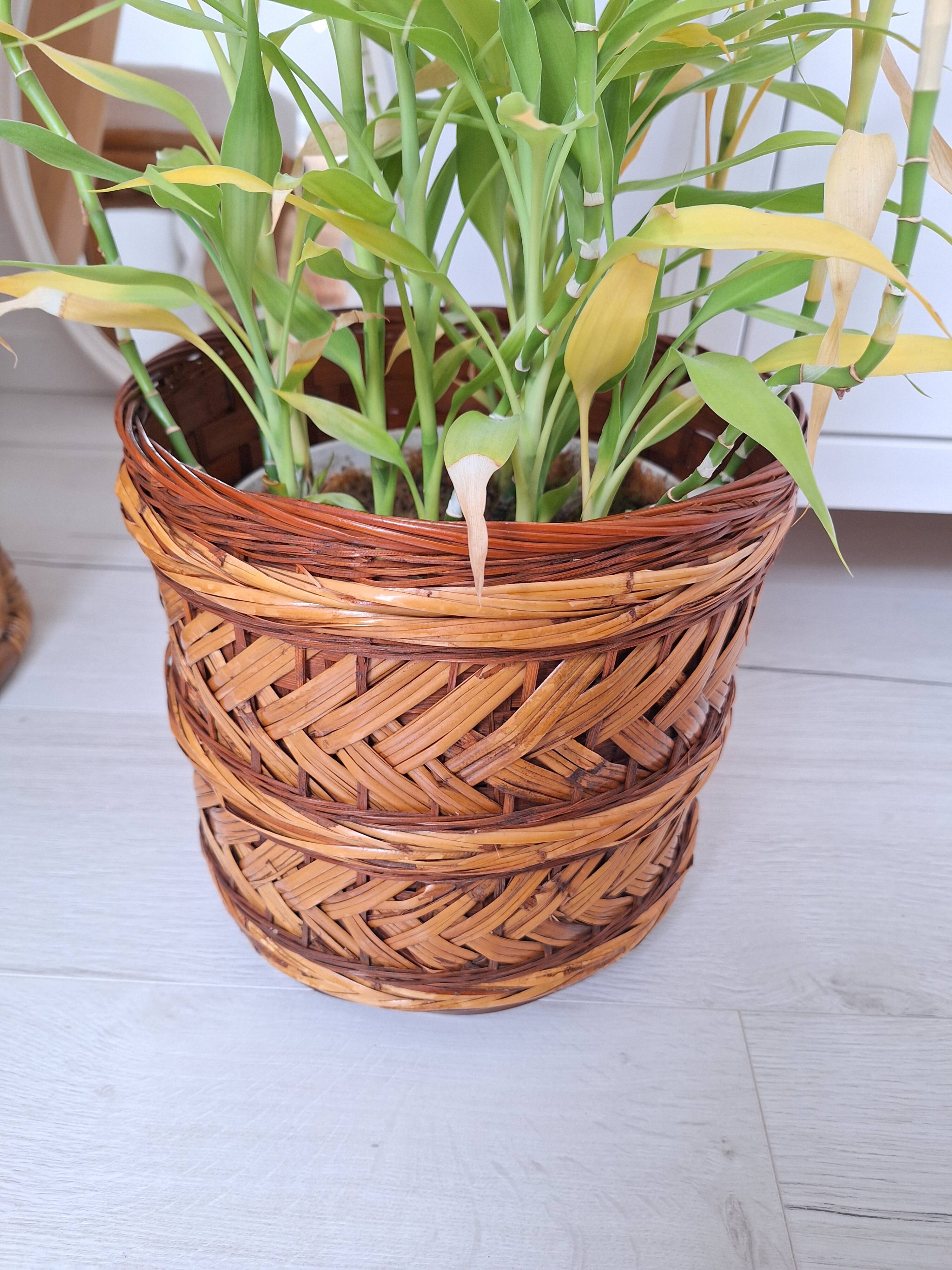 Wicker plant pot