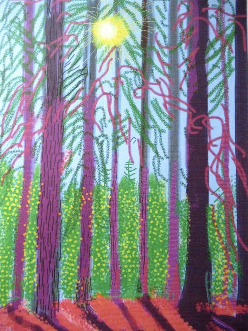 Lithograph by David Hockney, signed and numbered.