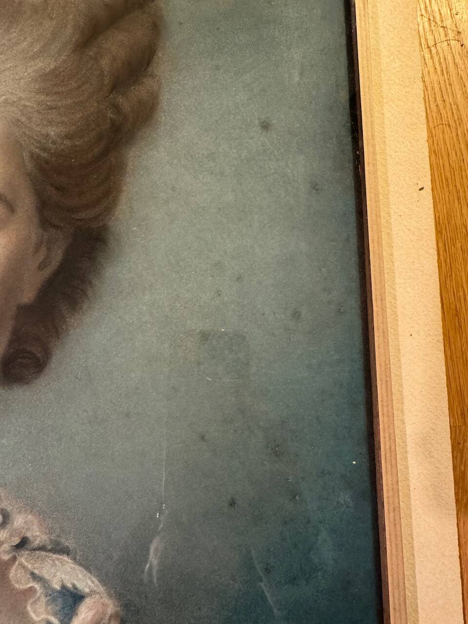 Portrait of an elegant 19th century woman