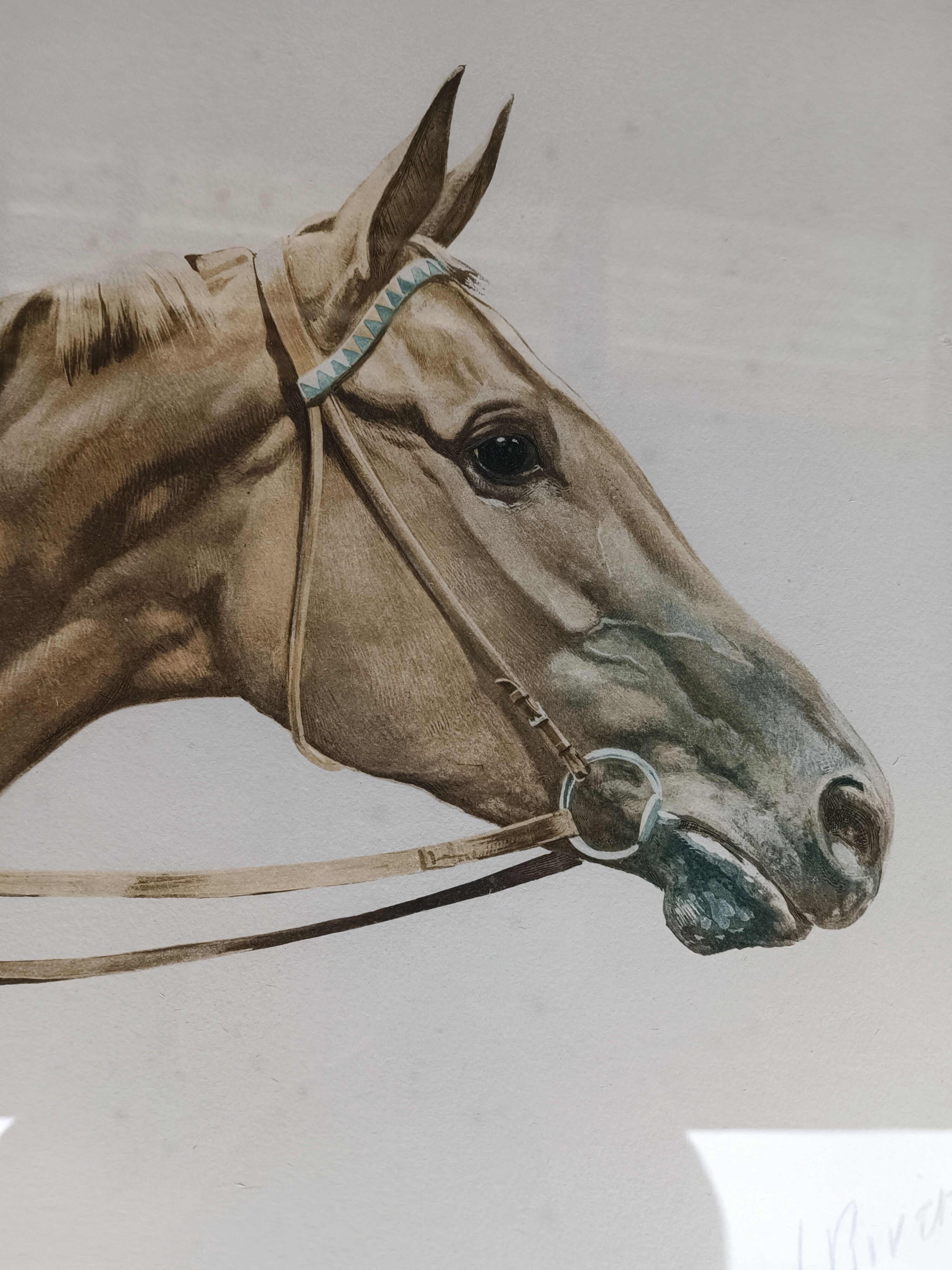 Lithographie cheval J.Rivet
