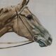 Lithographie cheval J.Rivet
