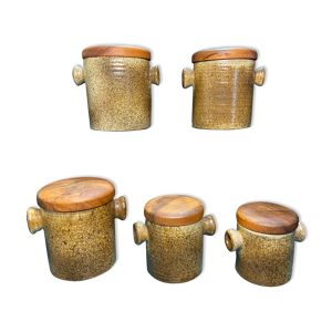 Ensemble de 5 pots à épices en