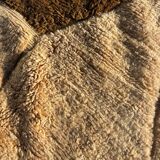 new modern Berber carpet Moroccan Berber