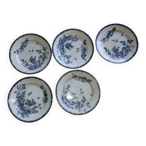 5 assiettes plates en - terre