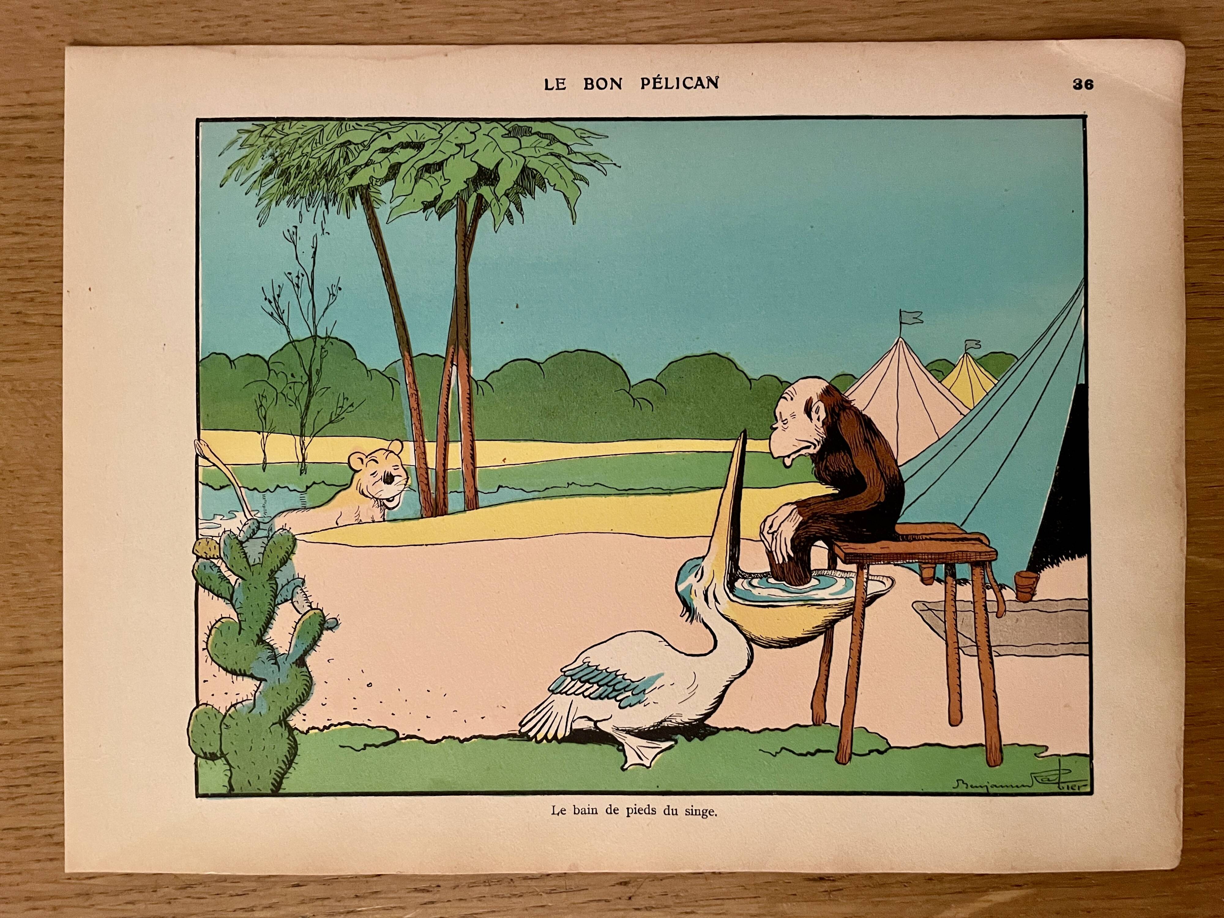 Old humorous satirical illustration of animals (pelican monkey) - 1930