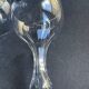 5 hollow foot champagne glasses – bayel cristallerie royale de champagne