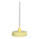 Yellow suspension