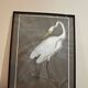 mixed media heron drawing