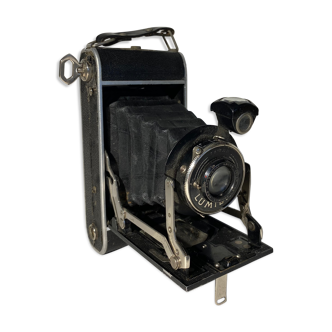 Light XX century brand bellows camera