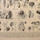Botanical engraving 1928 - Fungi 3, Oomycetes