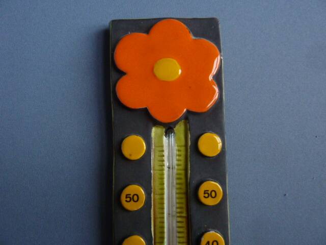 Thermometer with a scales