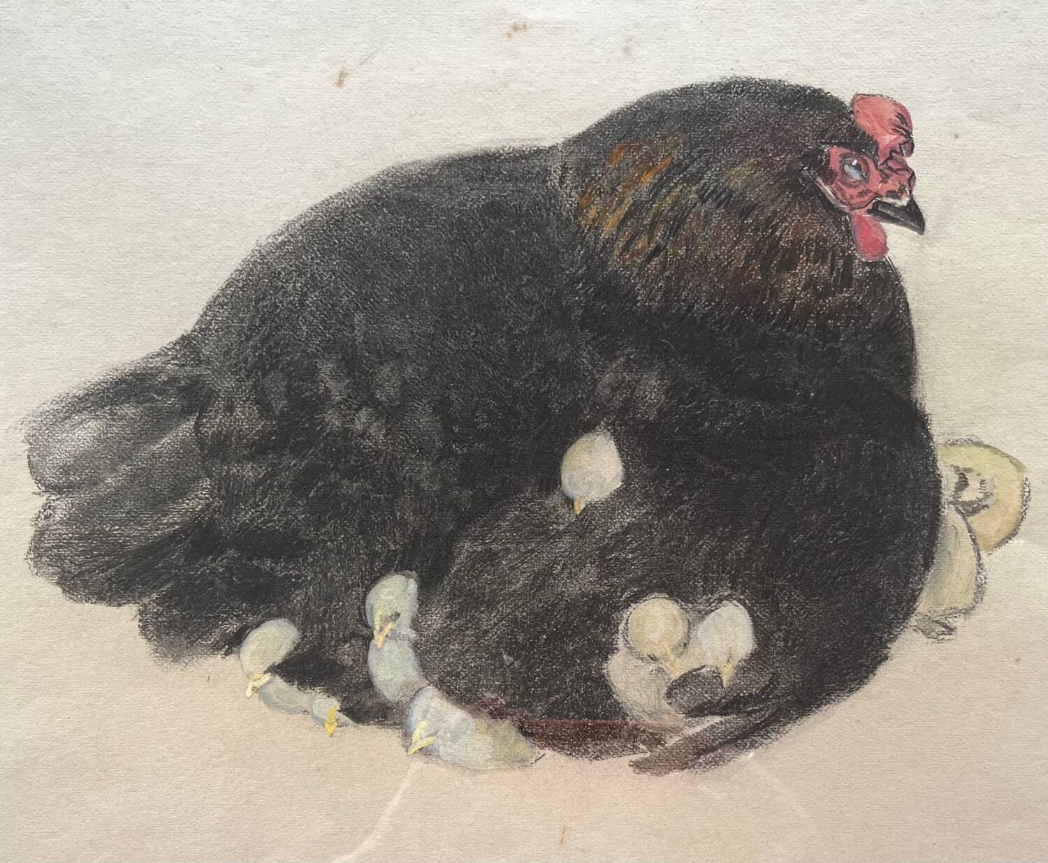 Black hen and her chicks, pastel on paper signed Hélène Rivière