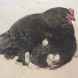 Black hen and her chicks, pastel on paper signed Hélène Rivière