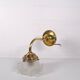 Swan neck flower wall light