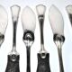 Set of 10 ercuis fish knives in silver metal, victoria spatours model