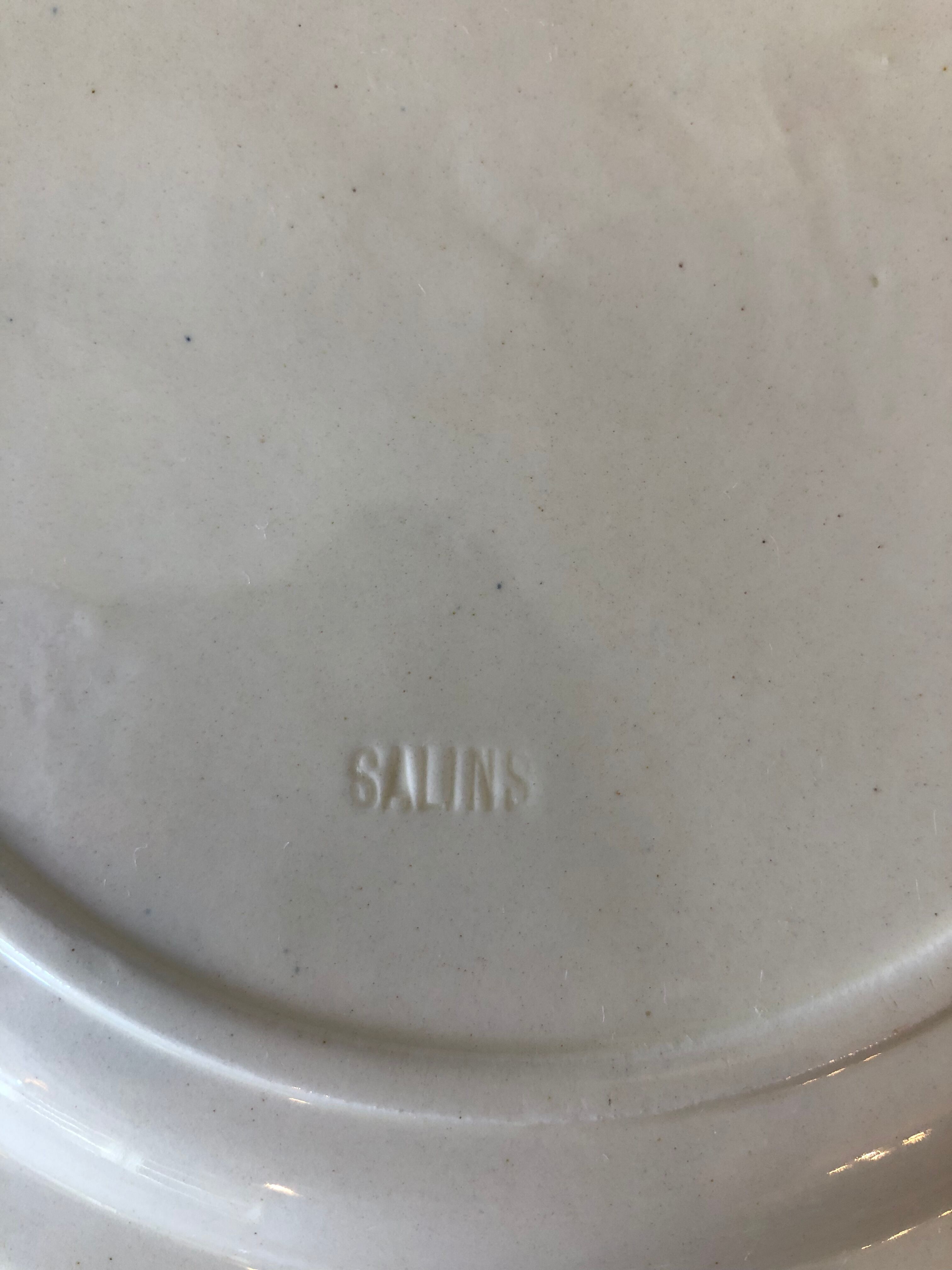 16 flat plates in Salins earthenware