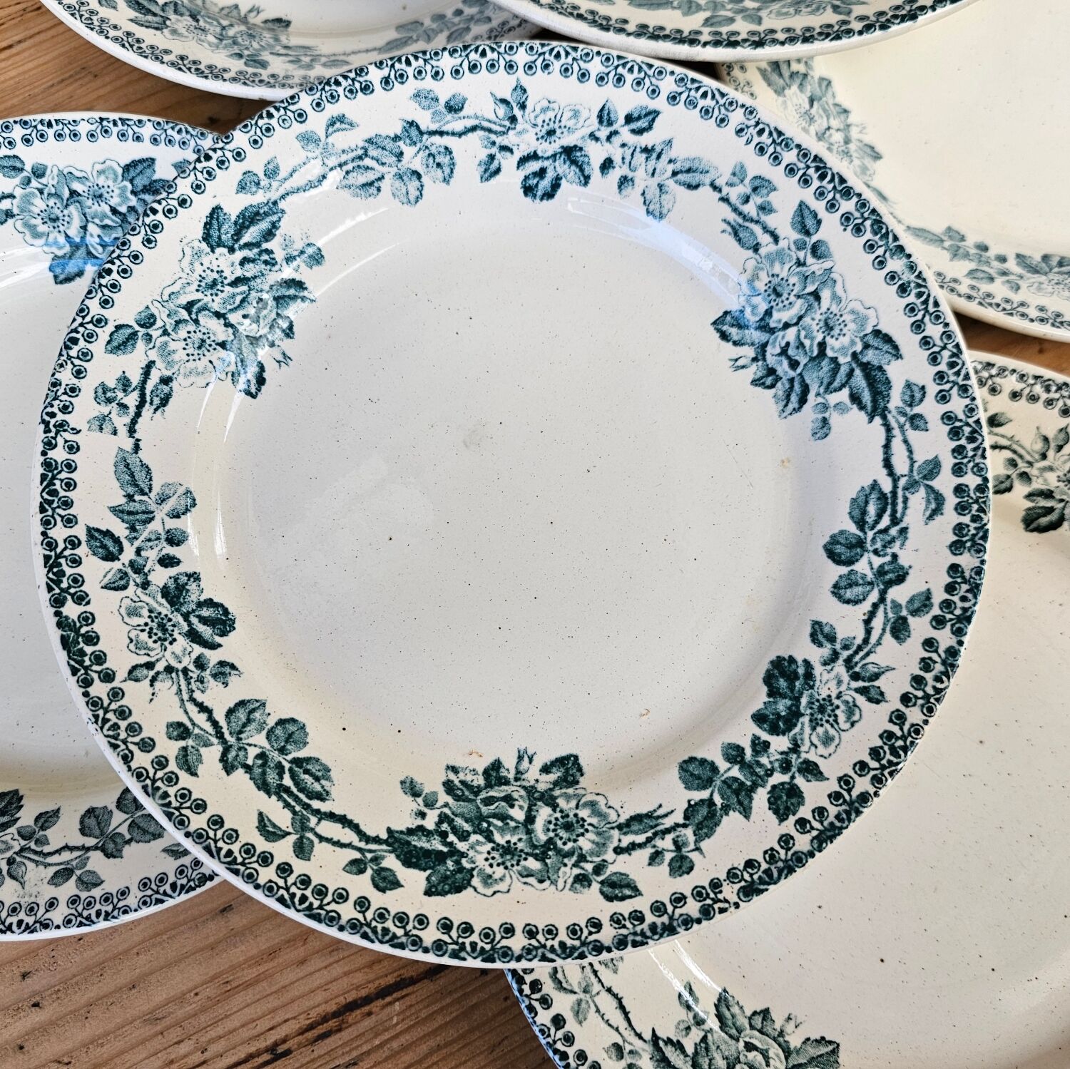 Flat plates Guadeloupe Terre de Fer