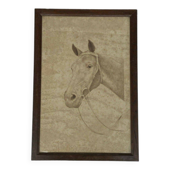 Dessin tête de cheval, signé